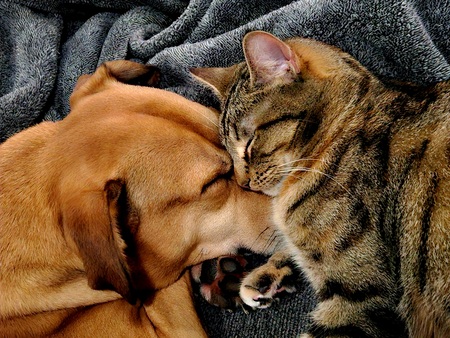 Entry image for Sammi & River. Clicking this image will show a larger photo