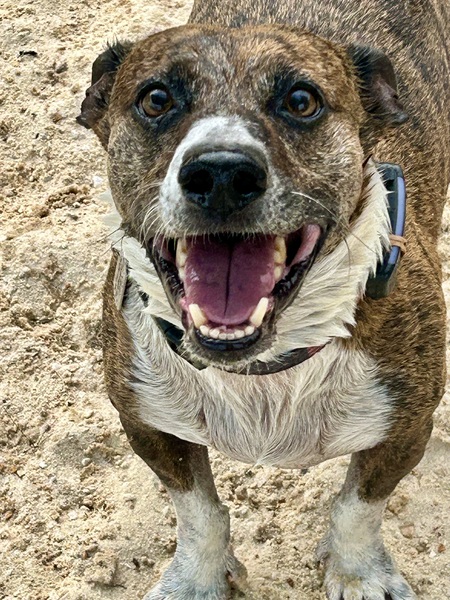 Entry image for Ricky B. Clicking this image will show a larger photo