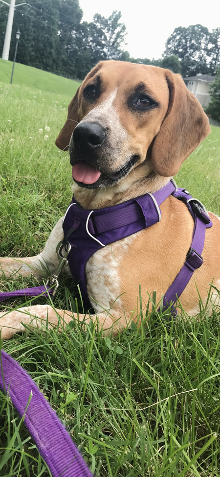 Entry image for Maddy Bruse . Clicking this image will show a larger photo