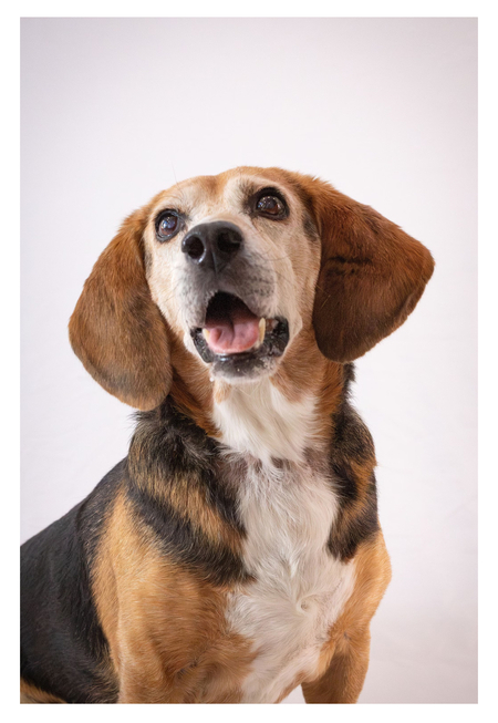 Entry image for Theo Bruse . Clicking this image will show a larger photo