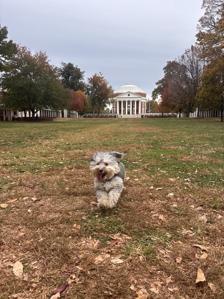 Entry image for Stetson. Clicking this image will show a larger photo