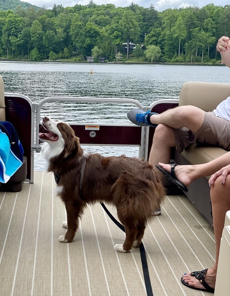 Entry image for Pup-Pup. Clicking this image will show a larger photo