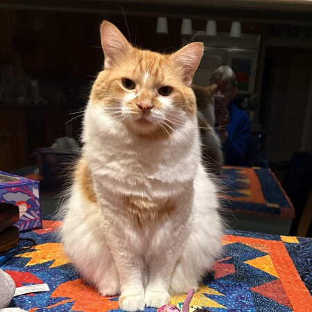 Entry image for Max. Clicking this image will show a larger photo