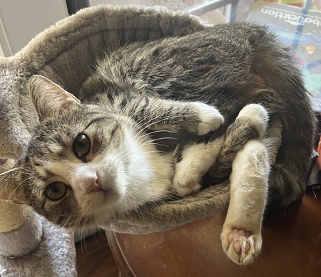 Entry image for Winnie. Clicking this image will show a larger photo