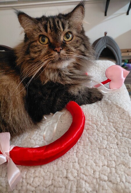 Entry image for Effie Trinket. Clicking this image will show a larger photo