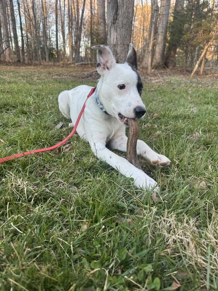 Entry image for Aspen . Clicking this image will show a larger photo