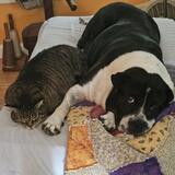 Entry image for Oskar and Rosie