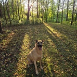 Entry image for Zuko