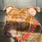 Entry image for Shazam