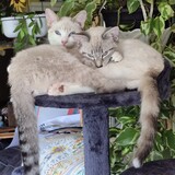 Entry image for Minka with Ingrid