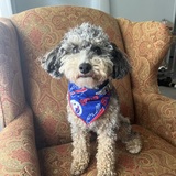 Entry image for Murphy