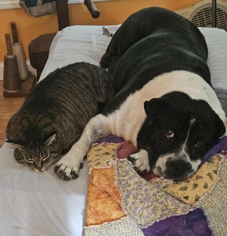 Entry image for Oskar and Rosie. Clicking this image will show a larger photo