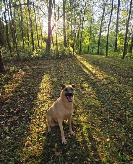 Entry image for Zuko. Clicking this image will show a larger photo