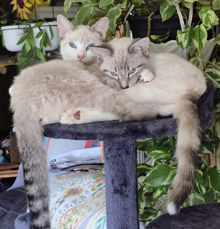 Entry image for Minka with Ingrid. Clicking this image will show a larger photo