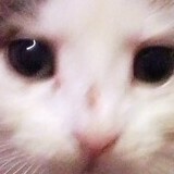 Entry image for Jezebel