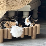 Entry image for Chloe 