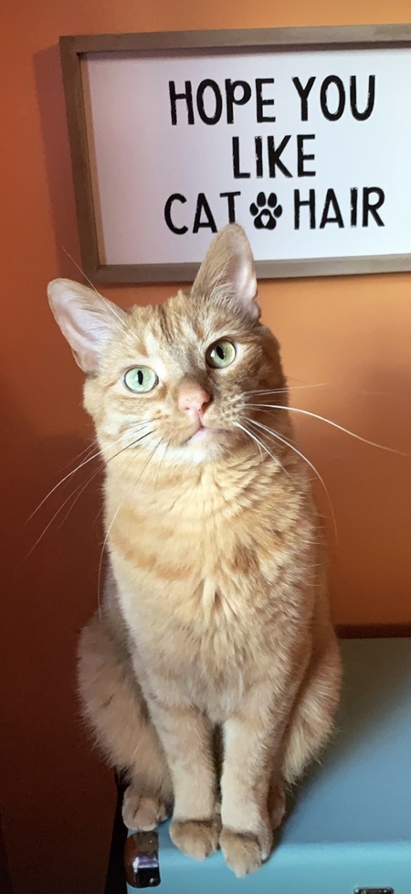 Entry image for Pickles. Clicking this image will show a larger photo