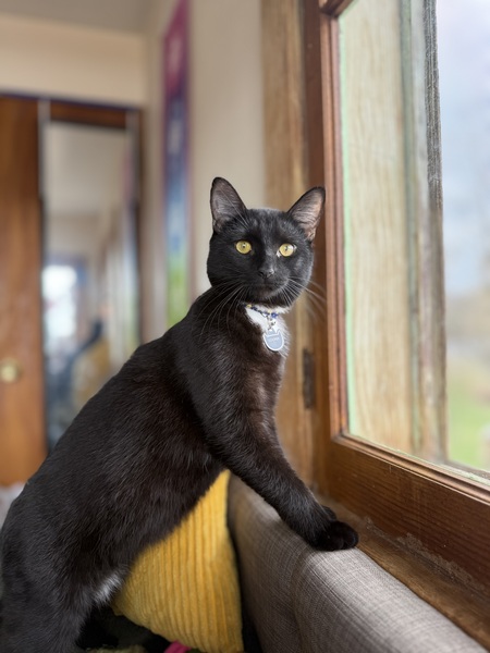 Entry image for Cooper. Clicking this image will show a larger photo