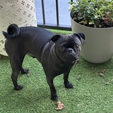 Entry image for Doug 
