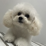 Entry image for Dusty Cooper