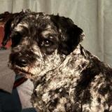 Entry image for Eddie
