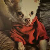 Entry image for Stitch