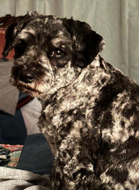 Entry image for Eddie. Clicking this image will show a larger photo