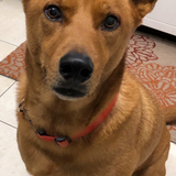 Entry image for Jake