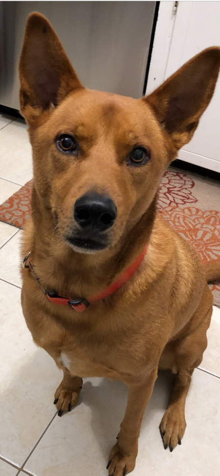 Entry image for Jake. Clicking this image will show a larger photo