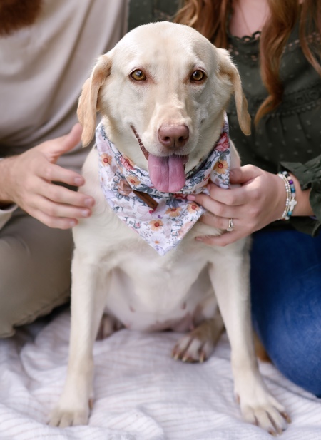 Entry image for Stella . Clicking this image will show a larger photo