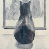 Entry image for Keegan Spera - Danny