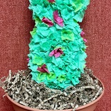 Entry image for Keri Lee - Paper and Plastic Pot - Catus