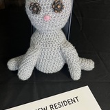 Entry image for Leanna Miller - TNR Crocheted Cat and Story