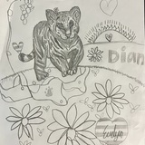 Entry image for Evelyn Phillips - Dian the Tiger