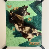 Entry image for Jennifer Fuhrman - Swift No (The Life of a NoGirl)
