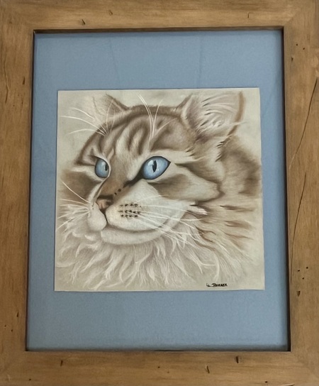 Entry image for Lane O. Barker - Colored Pencil - Blue Eyes. Clicking this image will show a larger photo