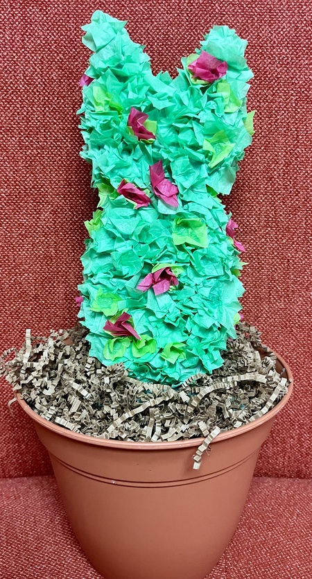 Entry image for Keri Lee - Paper and Plastic Pot - Catus. Clicking this image will show a larger photo