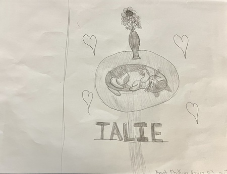 Entry image for Brock Phillips - In Memory of Talie. Clicking this image will show a larger photo