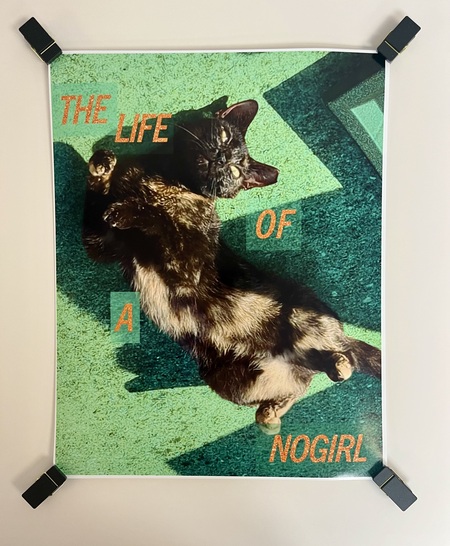 Entry image for Jennifer Fuhrman - Swift No (The Life of a NoGirl). Clicking this image will show a larger photo