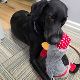 Entry image for Aubri