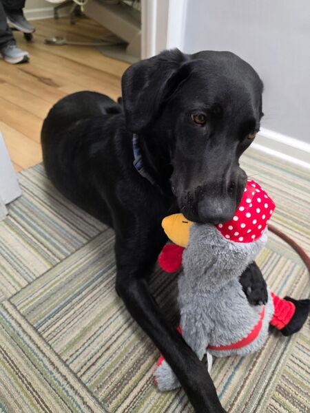 Entry image for Aubri. Clicking this image will show a larger photo