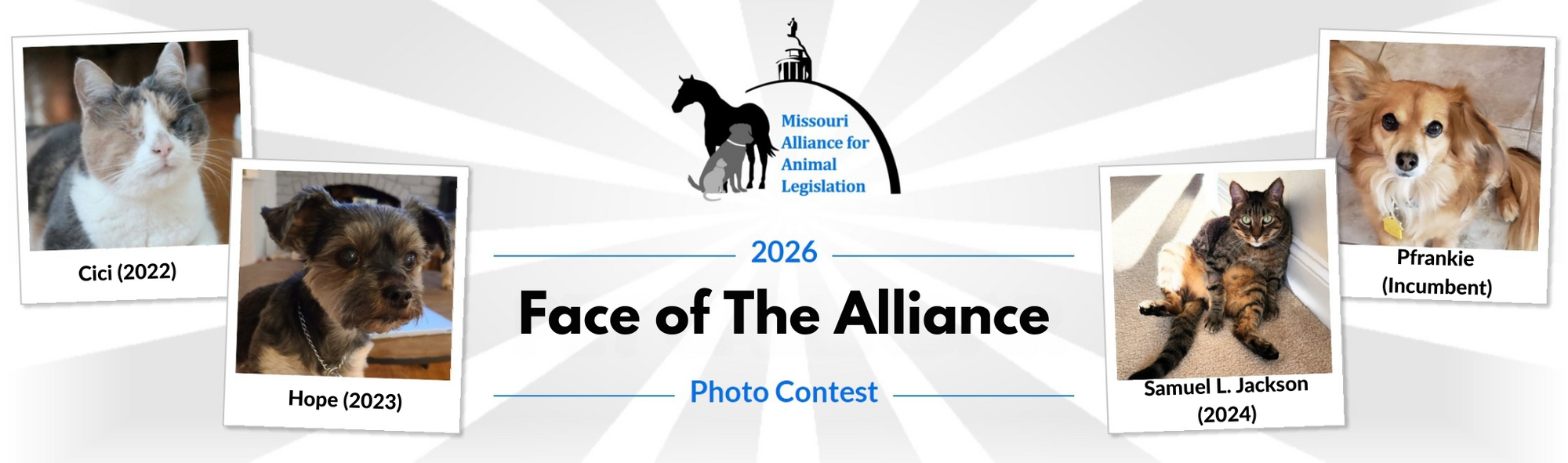 Banner for 2026 Face of the Alliance