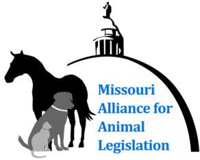 Logo for 2026 Face of the Alliance