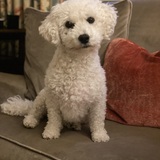 Entry image for Wiggles