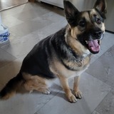 Entry image for Margie