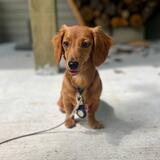 Entry image for Cassie