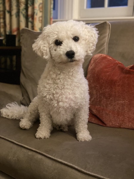 Entry image for Wiggles. Clicking this image will show a larger photo