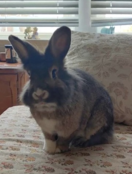 Entry image for Burt. Clicking this image will show a larger photo