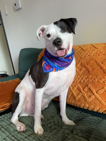 Entry image for Russell. Clicking this image will show a larger photo