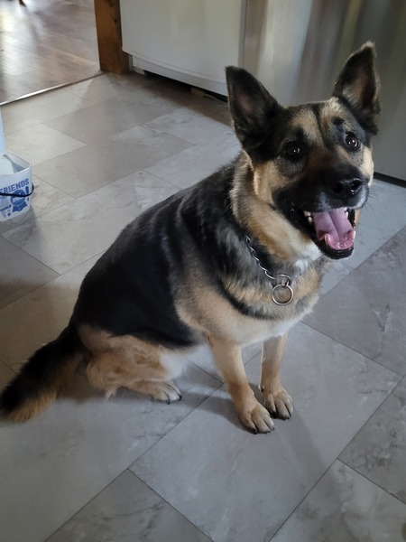 Entry image for Margie. Clicking this image will show a larger photo